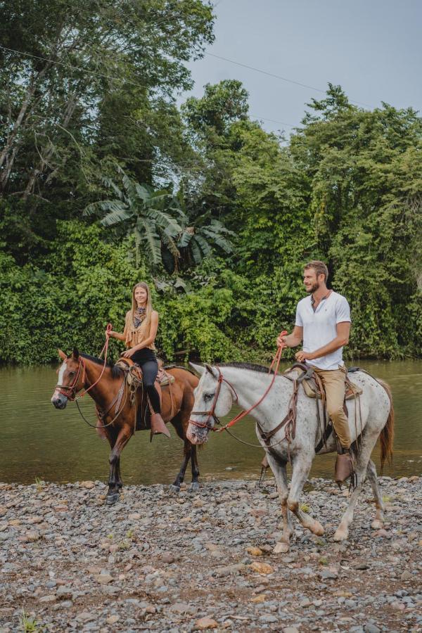 فيلا Playa Santa Teresa في Bohemia Experience المظهر الخارجي الصورة